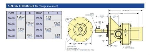 Roper Gear Pump 17AP06 - Image 3